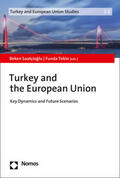 Saatçioglu / Saatçioglu / Tekin |  Turkey and the European Union | Buch |  Sack Fachmedien