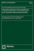 Druschel / Goldbach / Paulmann |  Interdisziplinäre Perspektiven auf Soziale Menschenrechte | Buch |  Sack Fachmedien