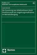 Schmidt |  Schmidt, C: Zuordnung von Arbeitnehmern durch Direktionsrech | Buch |  Sack Fachmedien