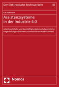 Hofmann |  Hofmann, K: Assistenzsysteme in der Industrie 4.0 | Buch |  Sack Fachmedien