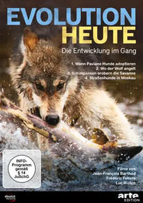 Abegg / Riolon / Vincent |  Evolution heute: Die Entwicklung im Gang | Sonstiges |  Sack Fachmedien