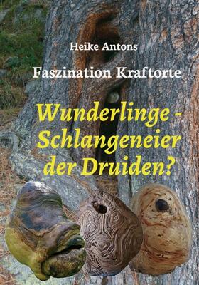 Antons | Wunderlinge - Schlangeneier der Druiden? | Buch | 978-3-8495-9168-7 | sack.de