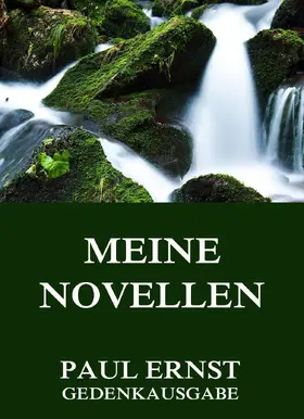 Ernst |  Meine Novellen | eBook | Sack Fachmedien