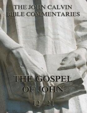 Calvin | John Calvin's Commentaries On The Gospel Of John Vol. 2 | E-Book | sack.de