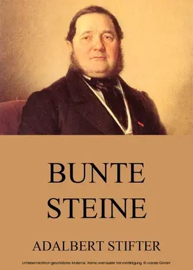 Stifter |  Bunte Steine | eBook | Sack Fachmedien