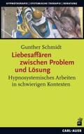 Schmidt |  Liebesaffären zwischen Problem und Lösung | Buch |  Sack Fachmedien