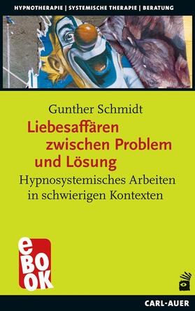 Schmidt | Liebesaffären zwischen Problem und Lösung | E-Book | sack.de