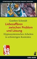 Schmidt |  Liebesaffären zwischen Problem und Lösung | eBook | Sack Fachmedien