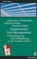 Kleve / Haye / Hampe-Grosser |  Systemisches Case Management | eBook | Sack Fachmedien