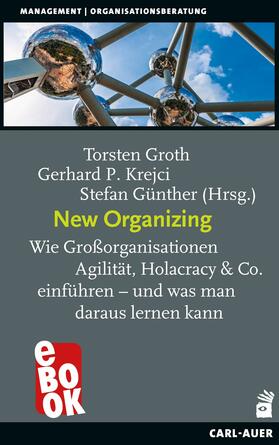 Groth / Krejci / Günther |  New Organizing | eBook | Sack Fachmedien