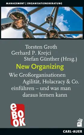 Groth / Krejci / Günther |  New Organizing | eBook | Sack Fachmedien