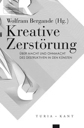Bergande |  Kreative Zerstörung | Buch |  Sack Fachmedien