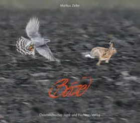 Zeiler |  Beize | Buch |  Sack Fachmedien