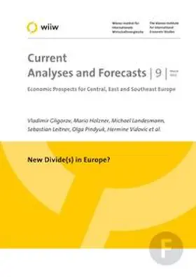 Gligorov / Holzner / Landesmann |  New Divide(s) in Europe? | Buch |  Sack Fachmedien
