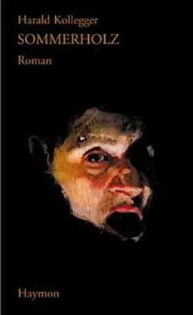 Kollegger |  Sommerholz | Buch |  Sack Fachmedien