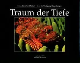 Hasenberger / Pils |  Traum der Tiefe 1 | Buch |  Sack Fachmedien