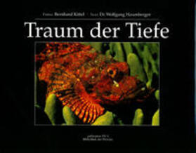 Hasenberger / Pils | Traum der Tiefe 1 | Buch | 978-3-85252-056-8 | sack.de