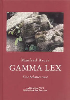 Bauer / Pils |  Gamma Lex | Buch |  Sack Fachmedien