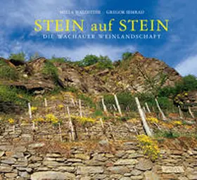 Waldstein |  Stein auf Stein | Buch |  Sack Fachmedien