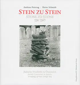 Feiertag / Schmidt | Stein zu Stein | Buch | 978-3-85252-994-3 | sack.de