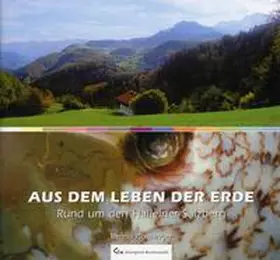 Plöchinger |  Aus dem Leben der Erde. Rund um den Halleiner Salzberg | Buch |  Sack Fachmedien