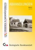 Hammerl / Lenhardt |  Erdbeben in Niederösterreich von 1000 bis 2009 n. Chr. | Buch |  Sack Fachmedien
