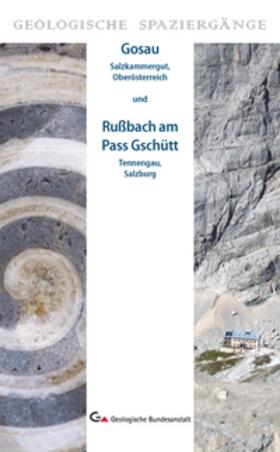 Lobitzer |  Gosau (Salzkammergut, Oberösterreich) und Rußbach am Pass Gschütt (Tennengau, Salzburg) | Buch |  Sack Fachmedien