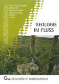 Roetzel |  Geologie im Fluss | Buch |  Sack Fachmedien