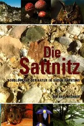 Zwander |  Die Sattnitz - Ein Naturführer | Buch |  Sack Fachmedien