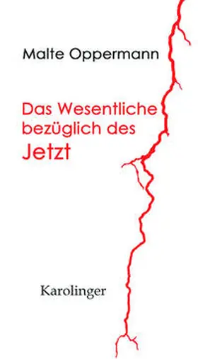 Oppermann |  Das Wesentliche bezüglich des Jetzt | Buch |  Sack Fachmedien