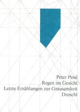 Pessl |  Regen im Gesicht | Buch |  Sack Fachmedien