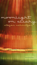 Schmitzer |  moonlight on clichy | Buch |  Sack Fachmedien