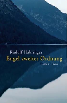 Habringer |  Engel zweiter Ordnung | Buch |  Sack Fachmedien
