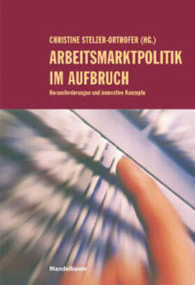 Stelzer-Orthofer |  Arbeitsmarktpolitik im Aufbruch | Buch |  Sack Fachmedien