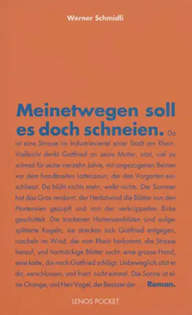 Schmidli |  Meinetwegen soll es doch schneien | Buch |  Sack Fachmedien