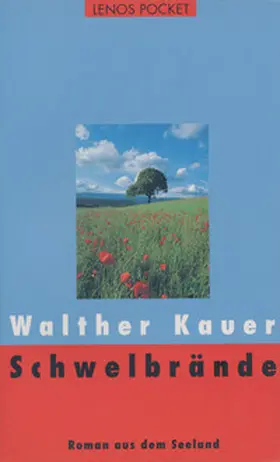 Kauer |  Schwelbrände | Buch |  Sack Fachmedien