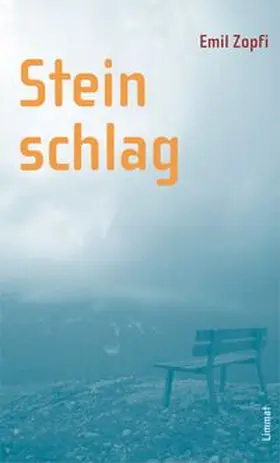 Zopfi |  Steinschlag | Buch |  Sack Fachmedien