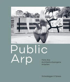 Martinoli / Scotti / Baur |  Public Arp | Buch |  Sack Fachmedien