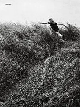 Wüthrich / Pfrunder |  Hof Nr. 4233 | Buch |  Sack Fachmedien