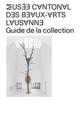 Musée cantonal des Beaux-Arts de Lausanne | Buch |  Sack Fachmedien