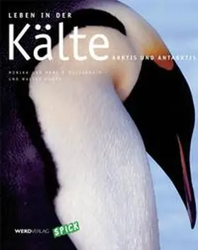 Dossenbach / Huber |  Leben in der Kälte | Buch |  Sack Fachmedien