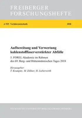 Krampitz / Zöllner / Lieberwirth |  Aufbereitung und Verwertung kohlenstofffaserverstärkter Abfälle | Buch |  Sack Fachmedien