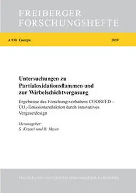 Krzack / Meyer |  Untersuchungen zu Partialoxidationsflammen und zur Wirbelschichtvergasung | Buch |  Sack Fachmedien