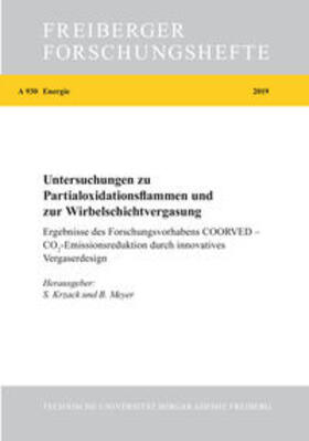 Krzack / Meyer | Untersuchungen zu Partialoxidationsflammen und zur Wirbelschichtvergasung | Buch | 978-3-86012-602-8 | sack.de