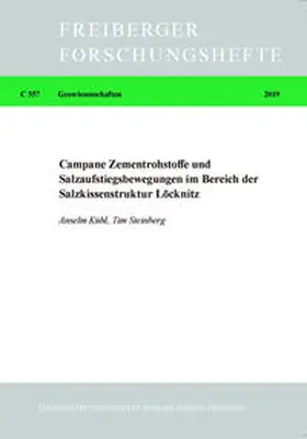 Kühl / Steinberg |  Campane Zementrohstoffe und Salzaufstiegsbewegungen im Bereich der Salzkissenstruktur Löcknitz | Buch |  Sack Fachmedien