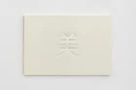 Hofmann |  Mystery of Beauty | Buch |  Sack Fachmedien