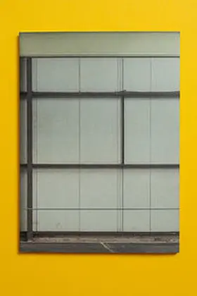 Bauer-Friedrich / Hofmann / Stockhausen |  Hannah Schneider - Dancing in a Curtain | Buch |  Sack Fachmedien