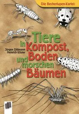 Dittmann / Köster |  Tiere in Kompost, Boden und morschen Bäumen | Buch |  Sack Fachmedien
