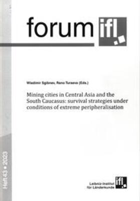 Sgibnev / Turaeva |  Mining cities in Central Asia and the South Caucasus | Buch |  Sack Fachmedien