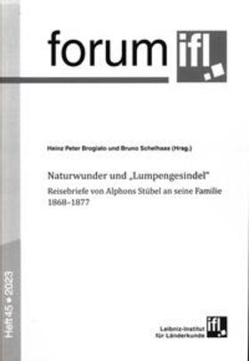 Stübel / Brogiato / Schelhaas |  Naturwunder und "Lumpengesindel" | Buch |  Sack Fachmedien